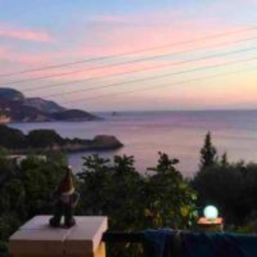 Vassilis Apartments Paleokastritsa Exteriér fotografie