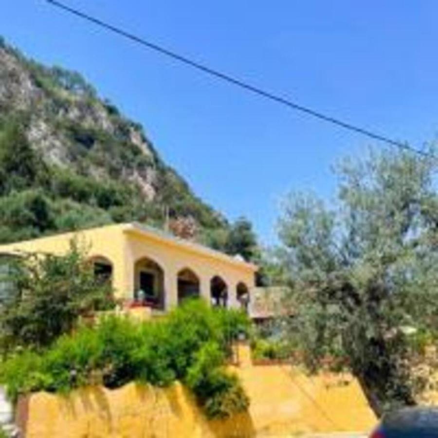 Vassilis Apartments Paleokastritsa Exteriér fotografie
